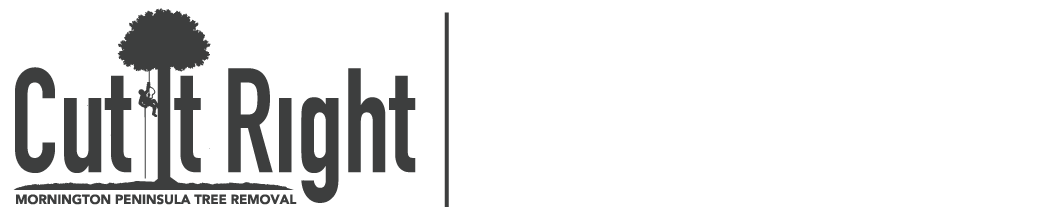 Tree Removal Rosebud